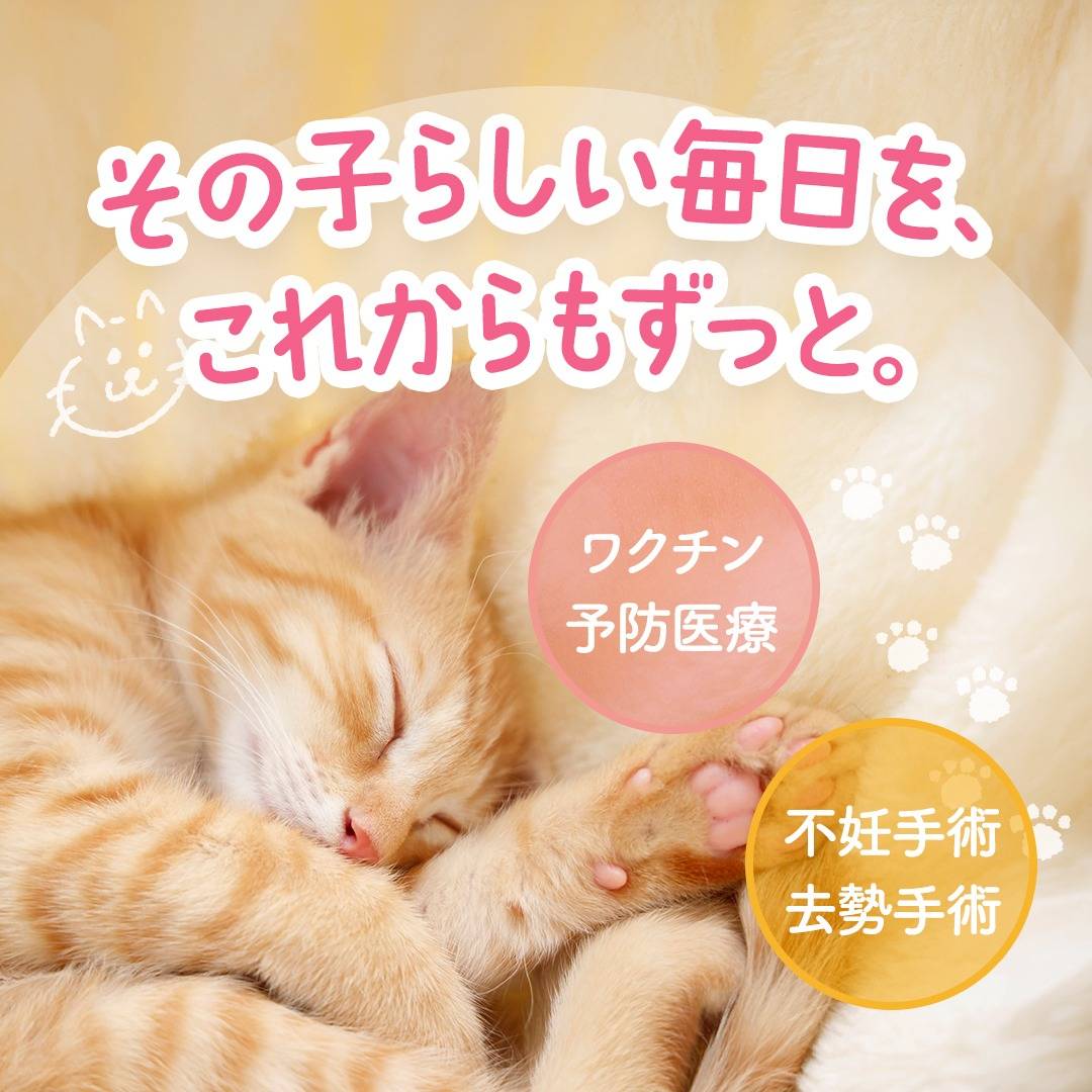 popup_banner
