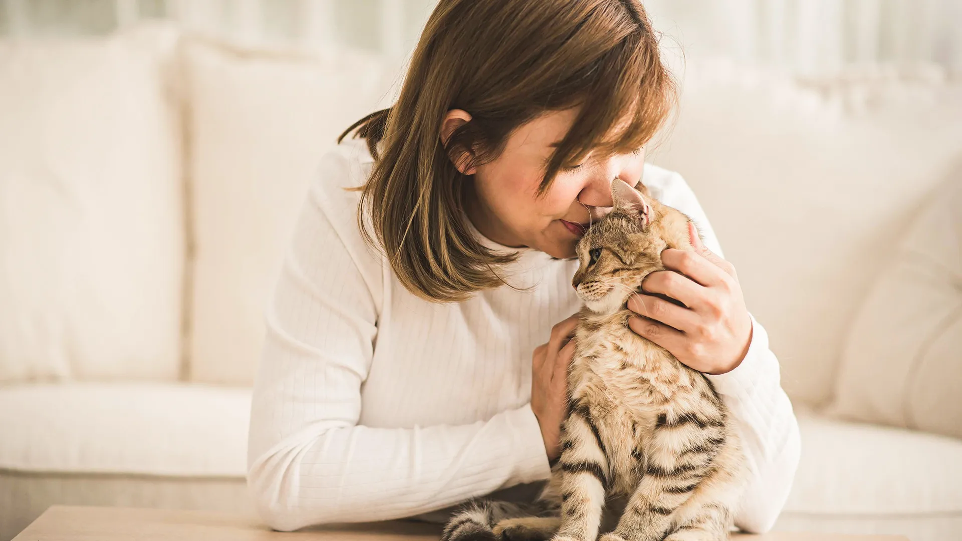 Wish Spay Clinic